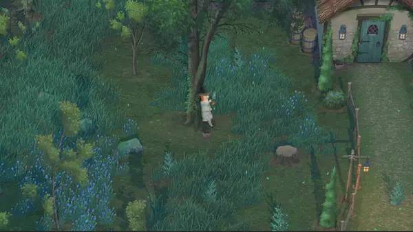 Общий вид на игровую локацию