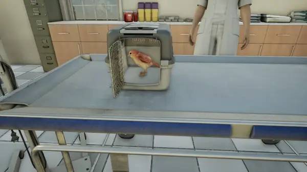 Отображение результата после выполнения миссии в Animal Doctor