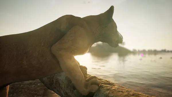 Отображение результата после выполнения миссии в Animalia Survival