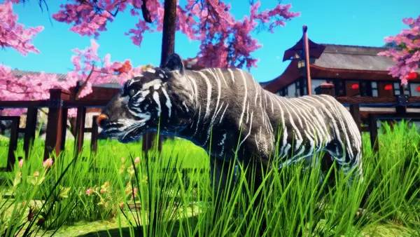 Отображение результата после выполнения миссии в Animallica