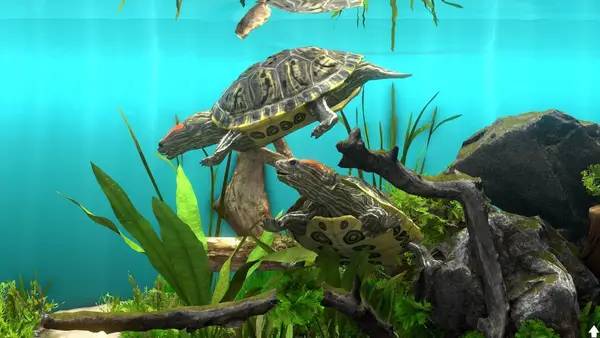 Отображение результата после выполнения миссии в Behind Glass Aquarium Simulator