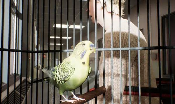 Отображение результата после выполнения миссии в PROJECT 13