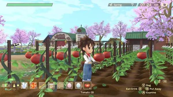 Отображение результата после выполнения миссии в STORY OF SEASONS  A Wonderful Life