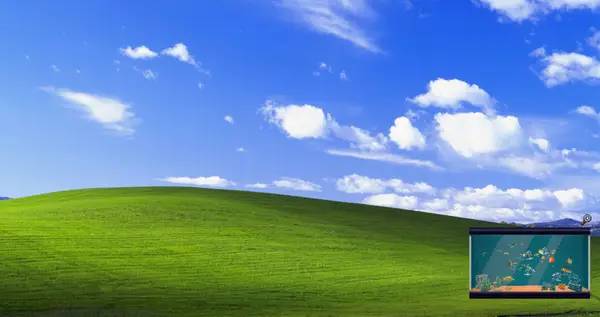 Отображение результата после выполнения миссии в Tiny Aquarium Social Fishkeeping