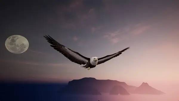 Персонаж The Matchless KungFu в процессе выполнения задания