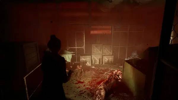 Пример визуального стиля и графики игры Outbreak  Shades of Horror Chromatic Split