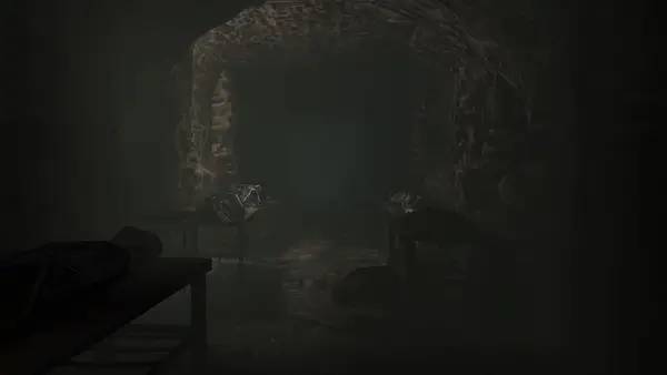 Процесс взаимодействия с другими участниками Coma Mortuary