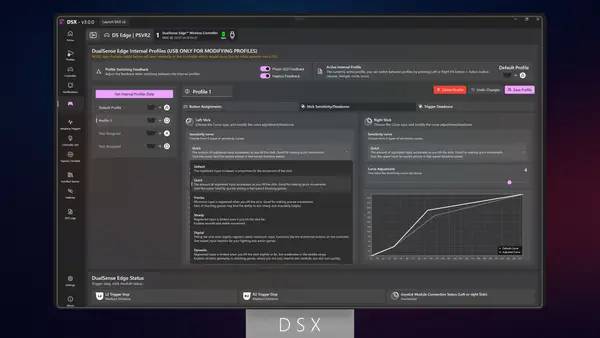 Процесс взаимодействия с другими участниками DSX