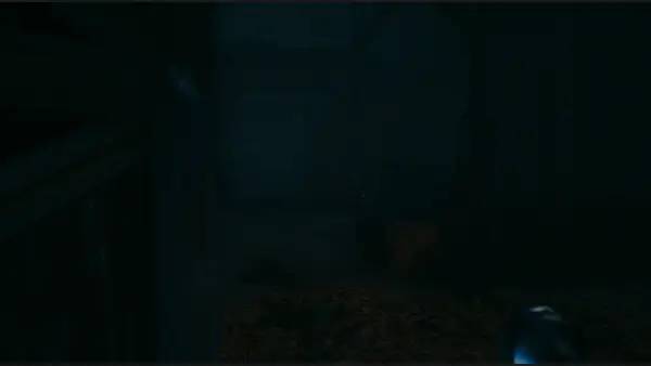 Процесс взаимодействия с другими участниками House of Lost Souls