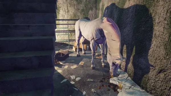 Процесс взаимодействия с другими участниками Lucid Cycle