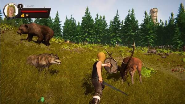 Процесс взаимодействия с другими участниками On the Dragon Wings - Birth of a Hero