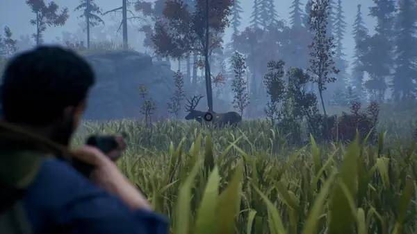 Процесс взаимодействия с другими участниками Open Country