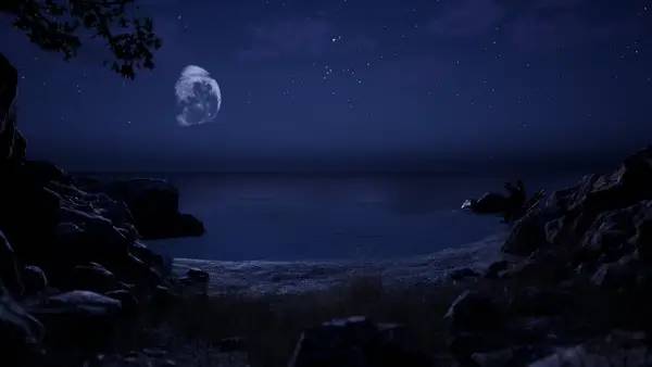 Процесс взаимодействия с другими участниками Potentia