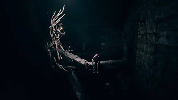 Процесс взаимодействия с другими участниками Someday You'll Return  Director's Cut