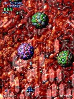 Процесс взаимодействия с другими участниками XIIZEAL