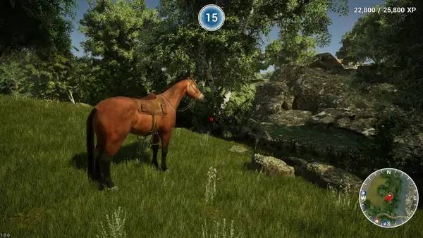 Сцена из внутреннего меню Animal Doctor