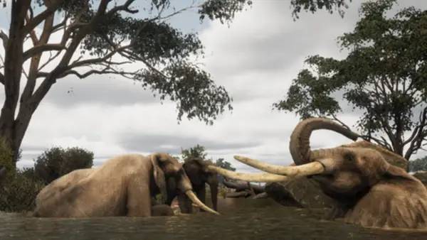 Сцена из внутреннего меню Animalia Survival