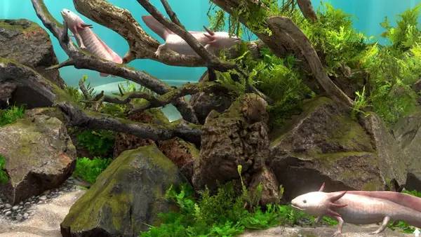 Сцена из внутреннего меню Behind Glass Aquarium Simulator