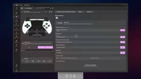 Сцена из внутреннего меню DSX