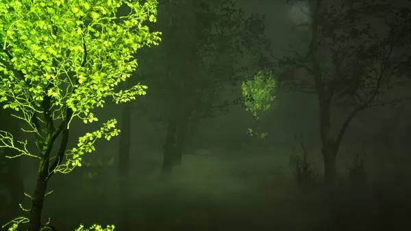 Сцена из внутреннего меню INTERPOINT