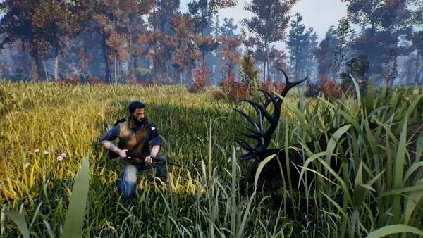 Сцена из внутреннего меню Open Country