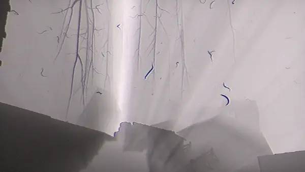 Сцена из внутреннего меню Our Elusive Suffering