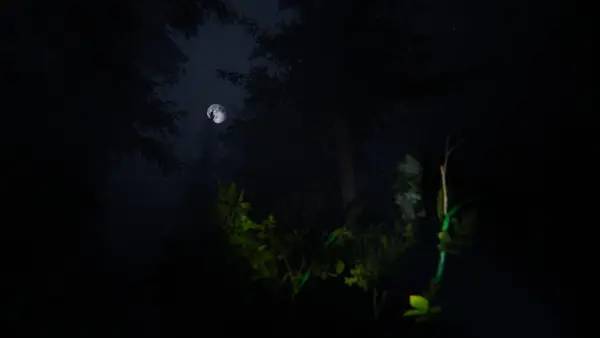 Сцена из внутреннего меню Taiga