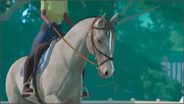 Сцена из внутреннего меню Tales of Rein Ravine