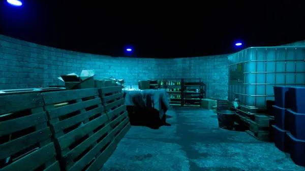 Сцена из внутреннего меню The Dawning